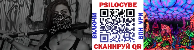 Псилоцибиновые грибы мухоморы  где купить наркоту  Сельцо 